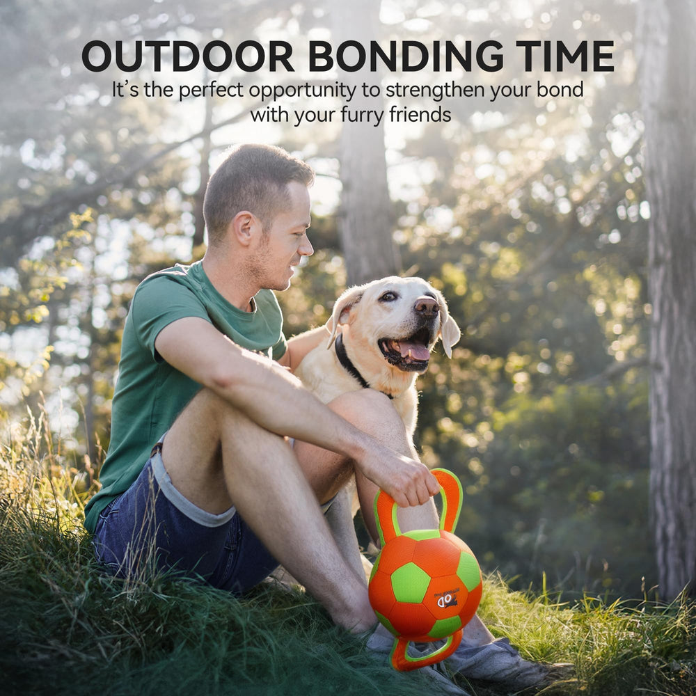 ALL FOR PAWS Ballistic Handle Ball designed for corgi size play and fetch.