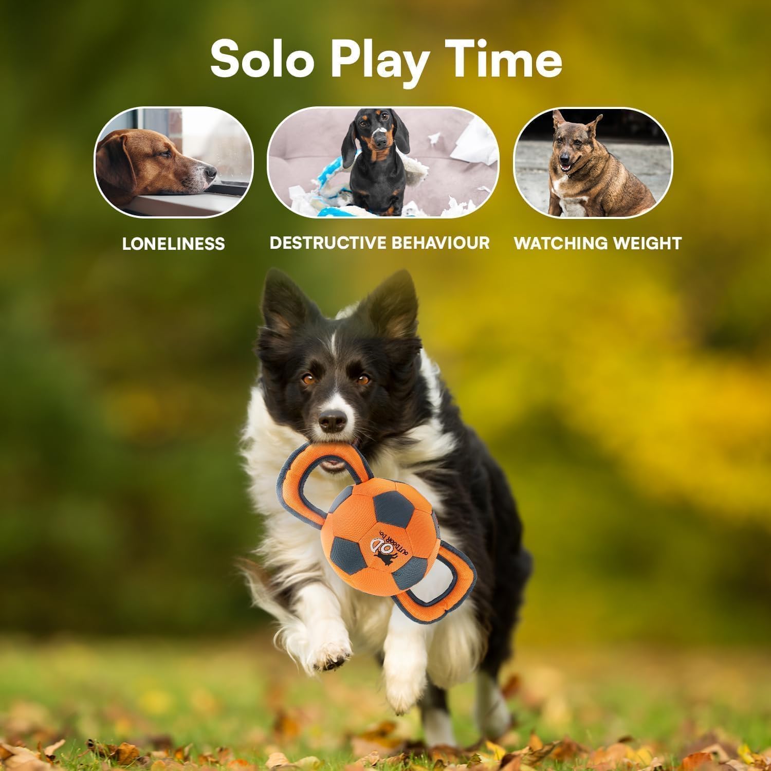 ALL FOR PAWS Ballistic Handle Ball supports solo or group play sessions.