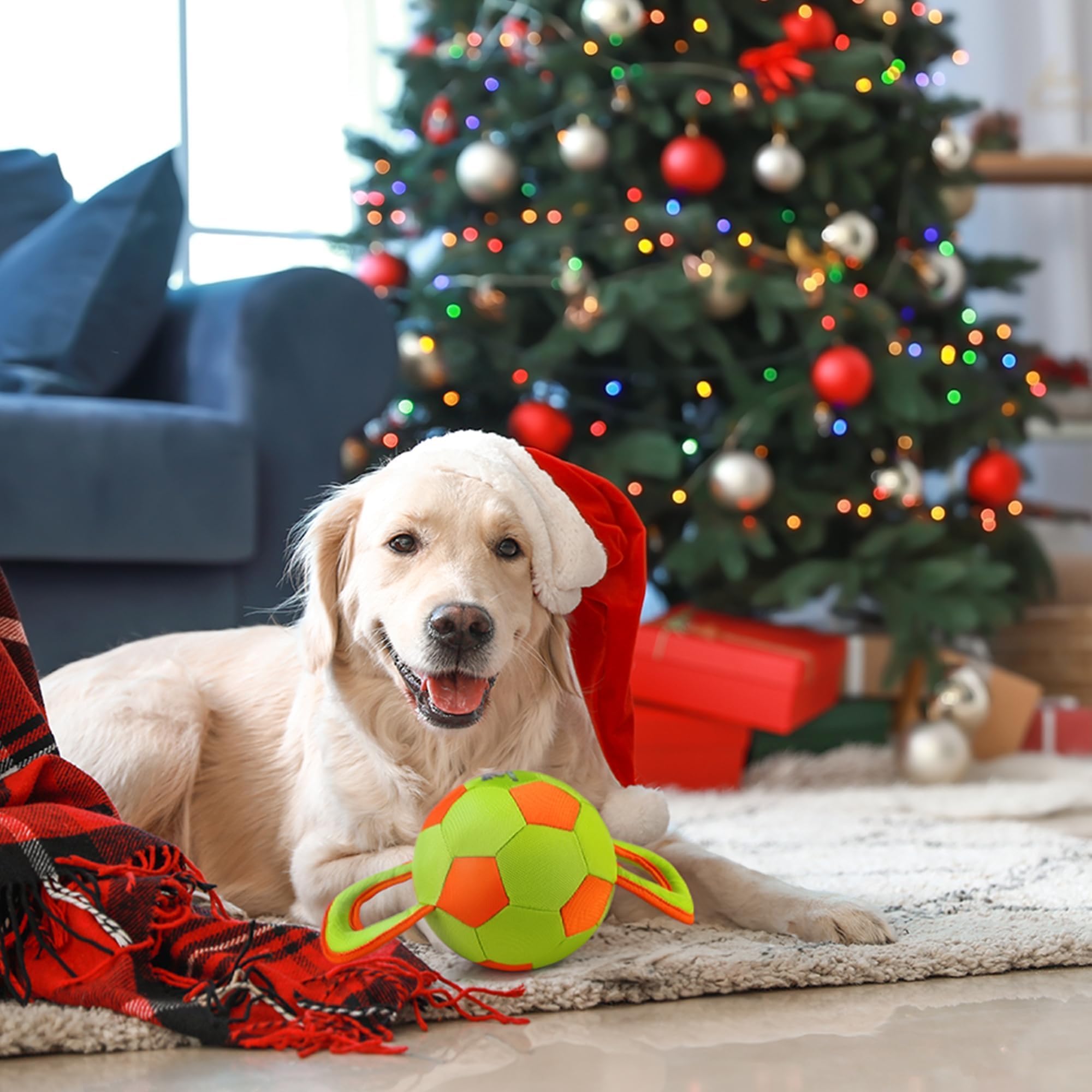 ALL FOR PAWS bonding exercise toy promotes healthy activity with supervision.