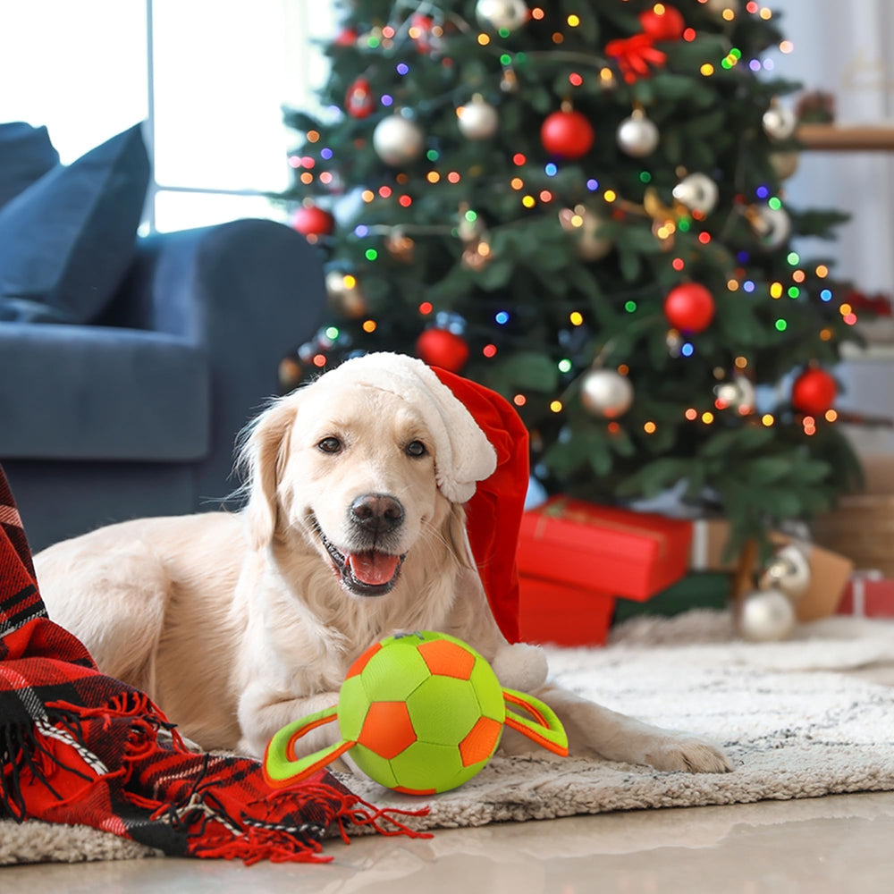 ALL FOR PAWS bonding exercise toy promotes healthy activity with supervision.