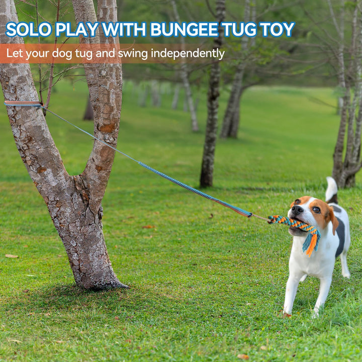 ALL FOR PAWS bungee cord extension enables adjustable height for puppies and adults.