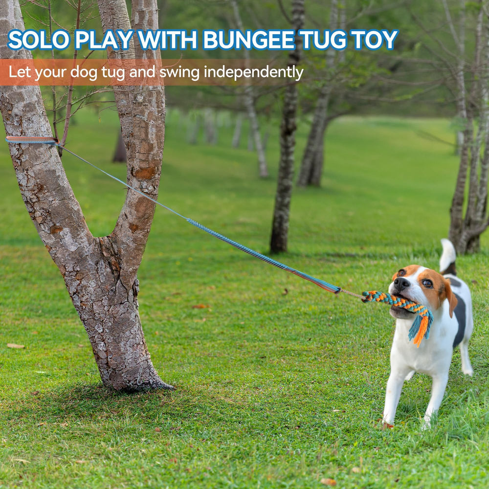 ALL FOR PAWS bungee cord extension enables adjustable height for puppies and adults.