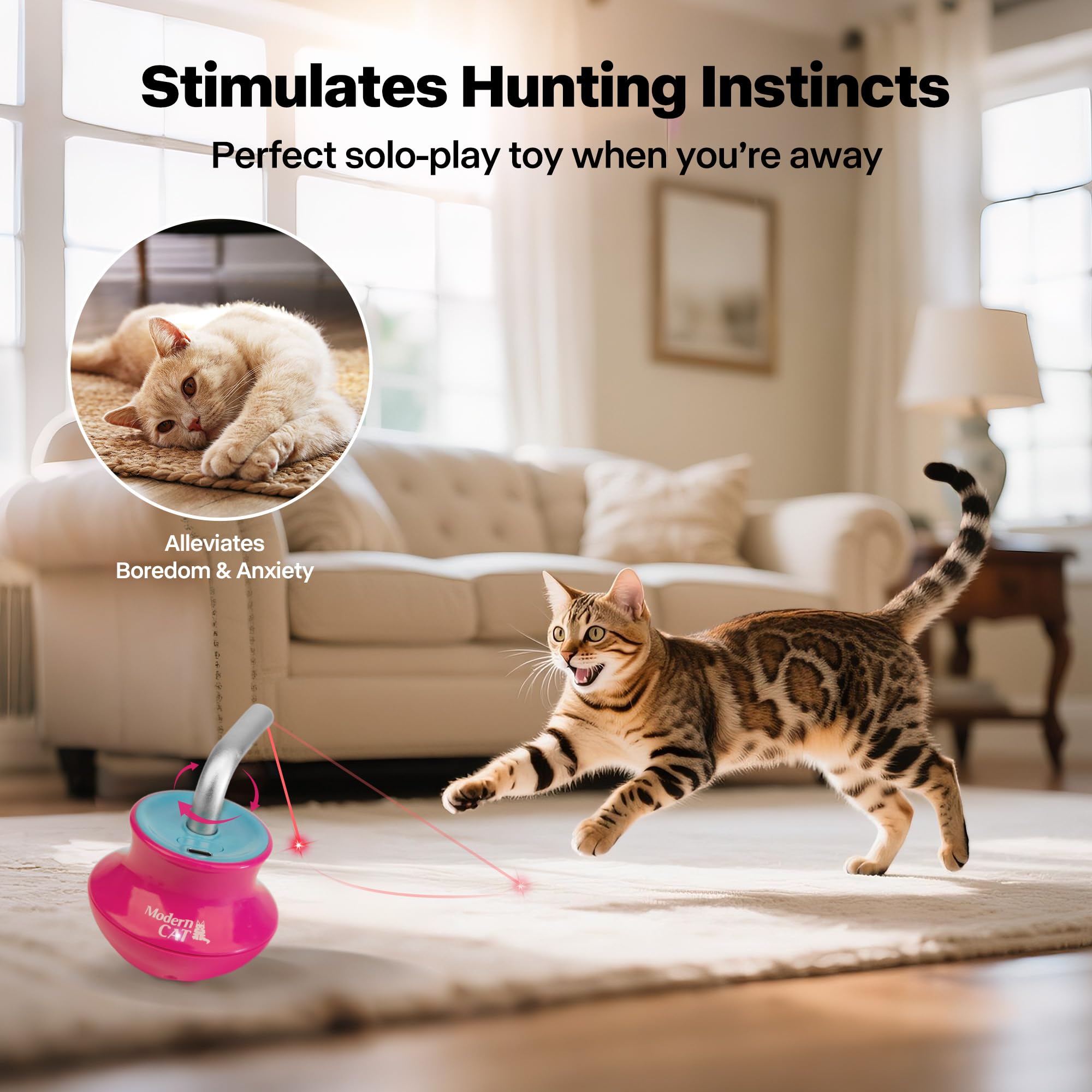 ALL FOR PAWS cat laser pointer toy shows 360-degree movement for dynamic play