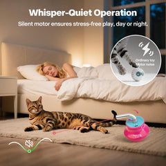 ALL FOR PAWS cat laser pointer USB-C rechargeable battery offers long playtime