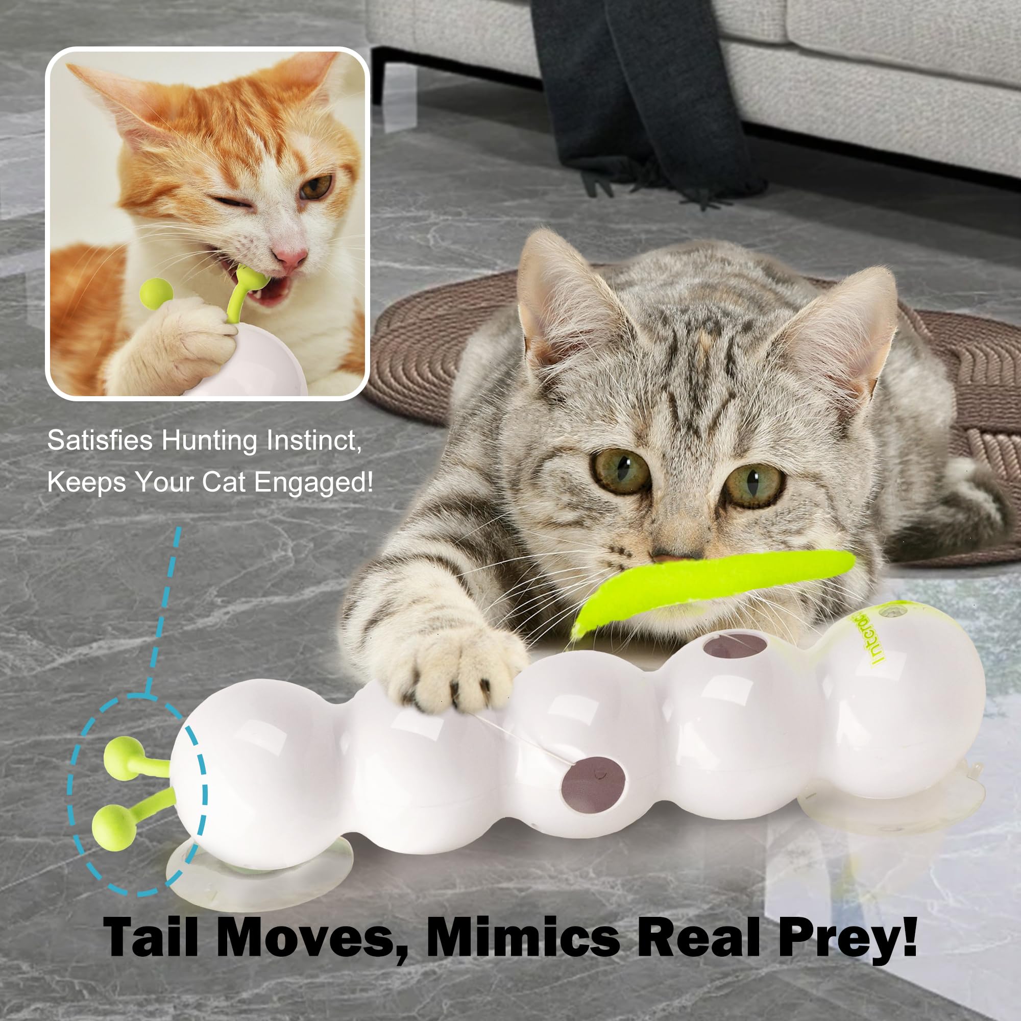 ALL FOR PAWS Cat Toy with suction cup secures surfaces for stable indoor play