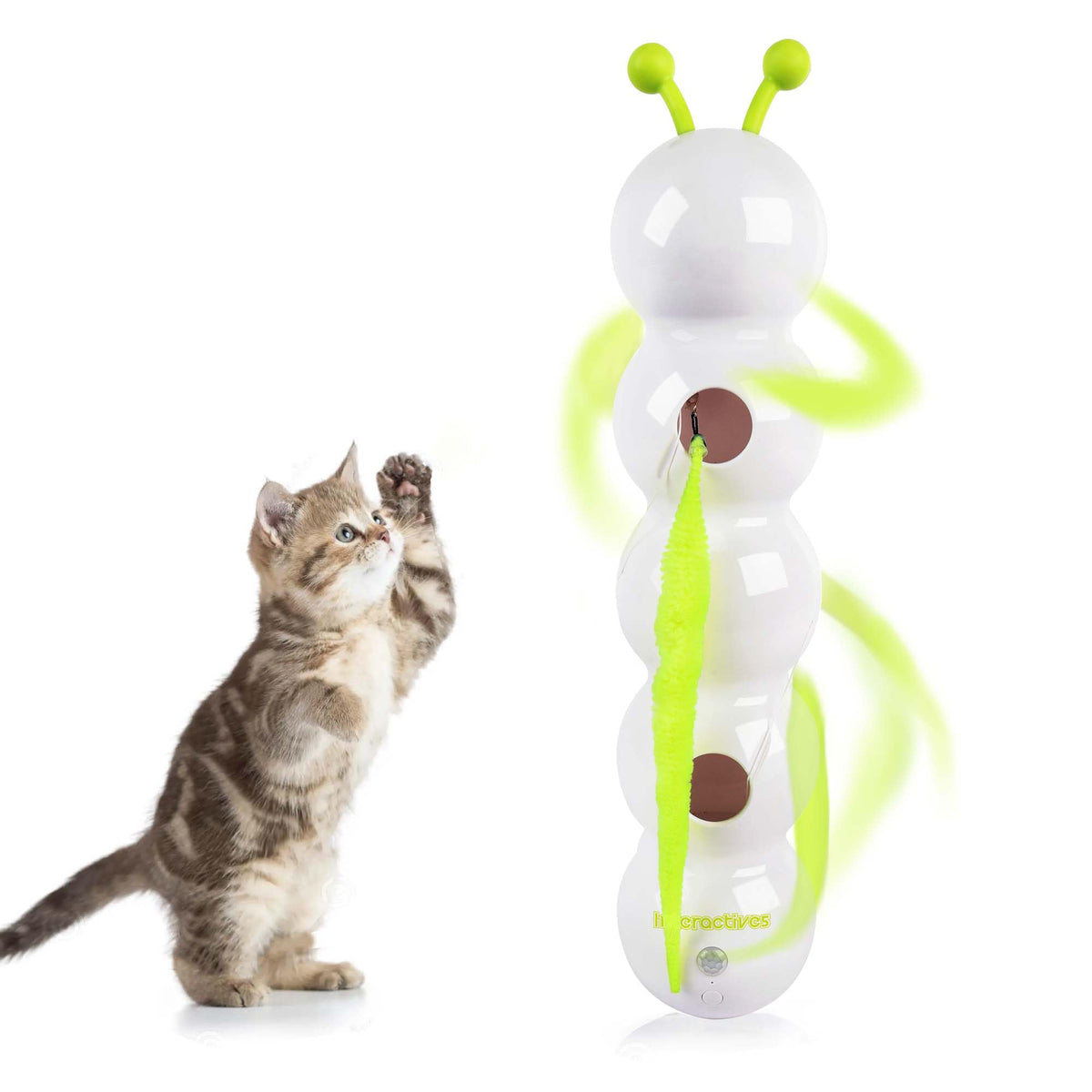 ALL FOR PAWS Caterpillar Cat Toy in front view with motion activation for indoor play
