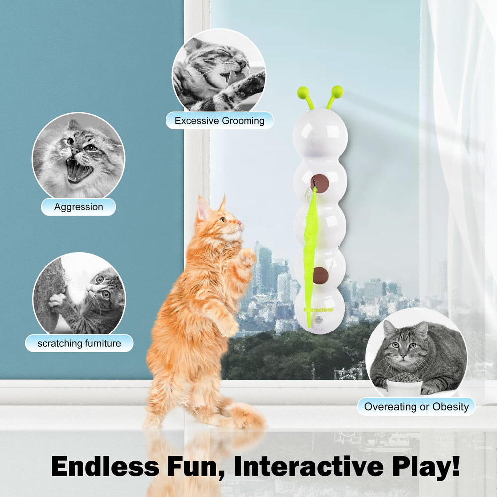 ALL FOR PAWS Caterpillar Toy demonstrates motion sensor activation to spark hunting instincts safely