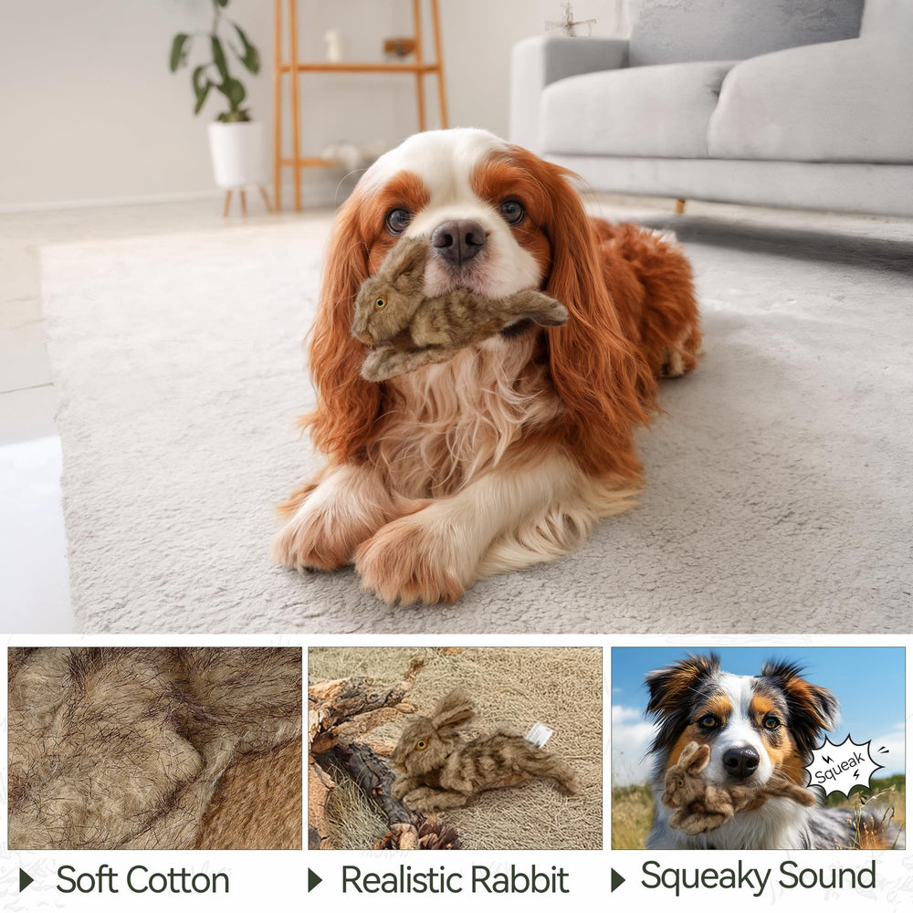 ALL FOR PAWS compact-sized rabbit toy is easy to carry during outdoor adventures