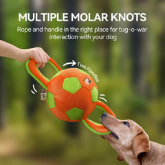 ALL FOR PAWS ball close-up showing built-in squeaker for dog entertainment.