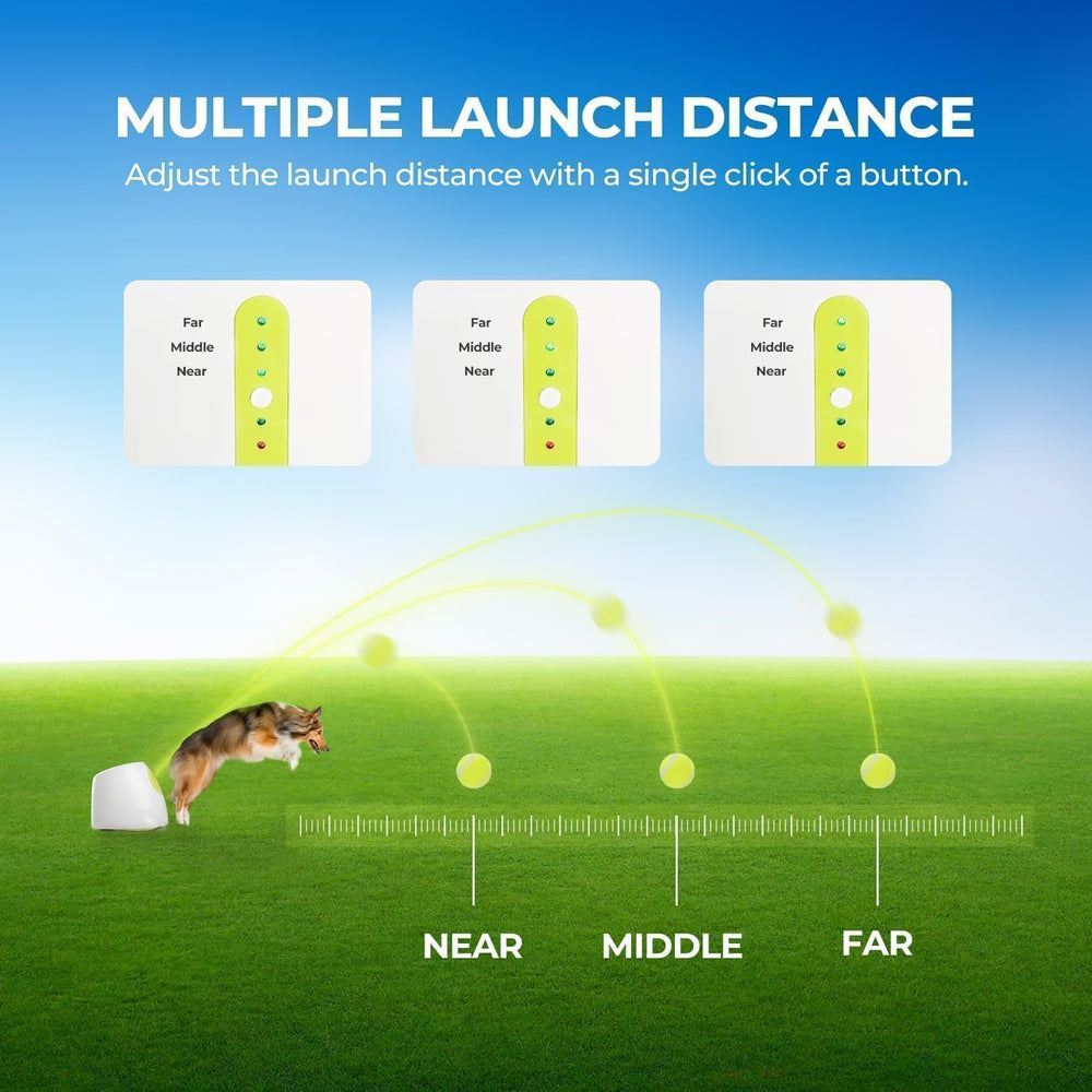 Dog fetching action with All For Paws launcher, showcasing interactive play.