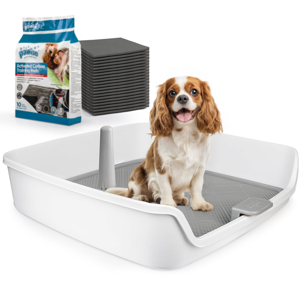 ALL FOR PAWS pee pad holder with removable post helps male puppies aim accurately.