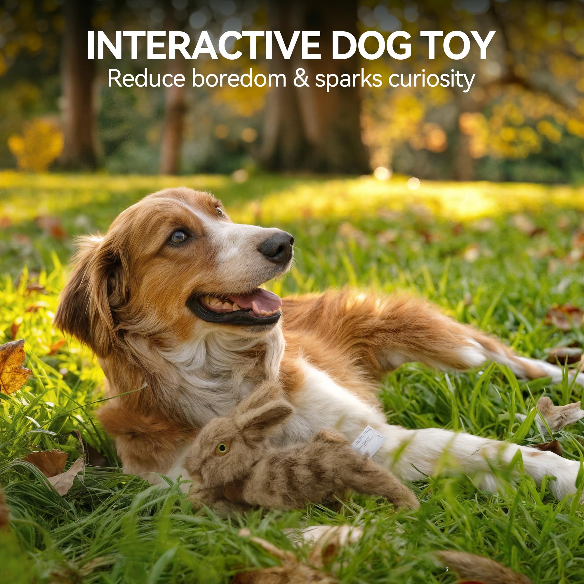 ALL FOR PAWS dog toy sparks interactive moments for companionship and activity