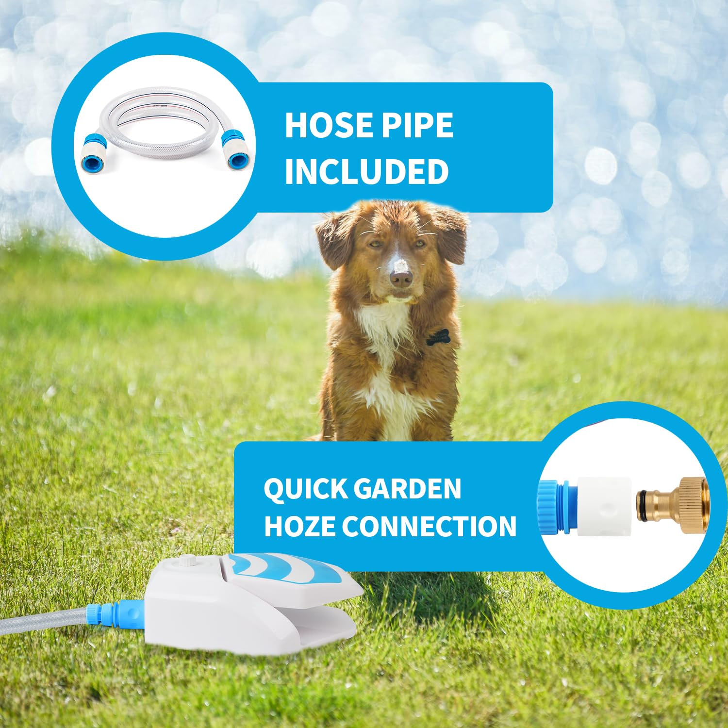All For Paws dog water toy for outdoor play and hydration.