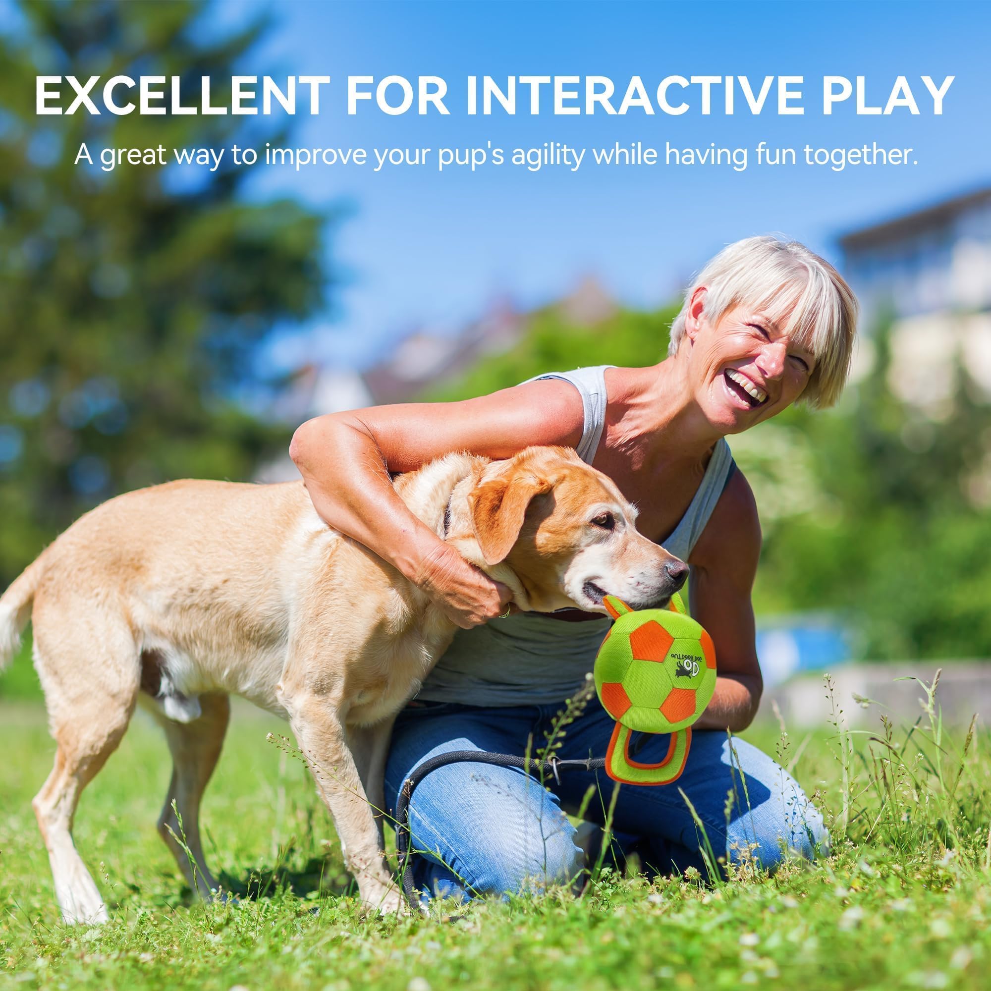 ALL FOR PAWS durable dog ball with strong stitching for long-lasting play.