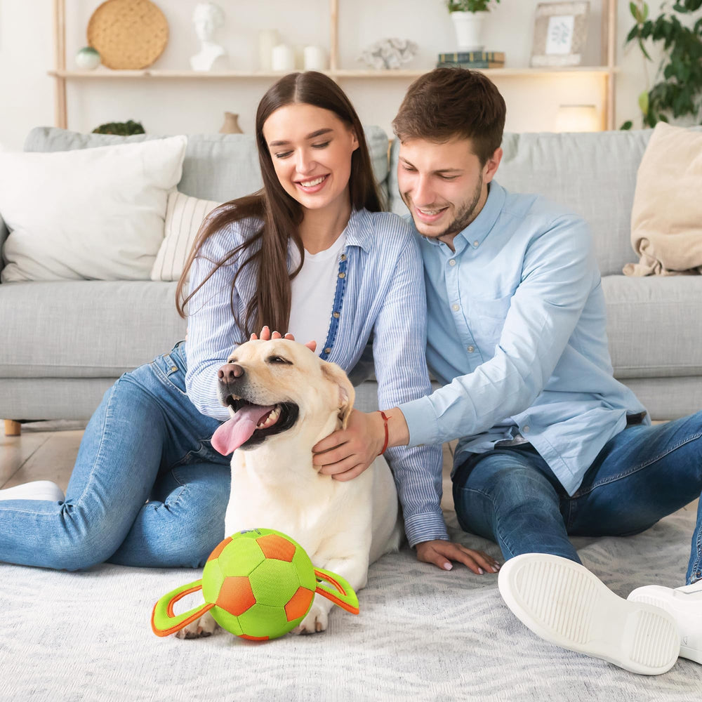 ALL FOR PAWS engaging toy with squeaker keeps dogs interested and stimulated.