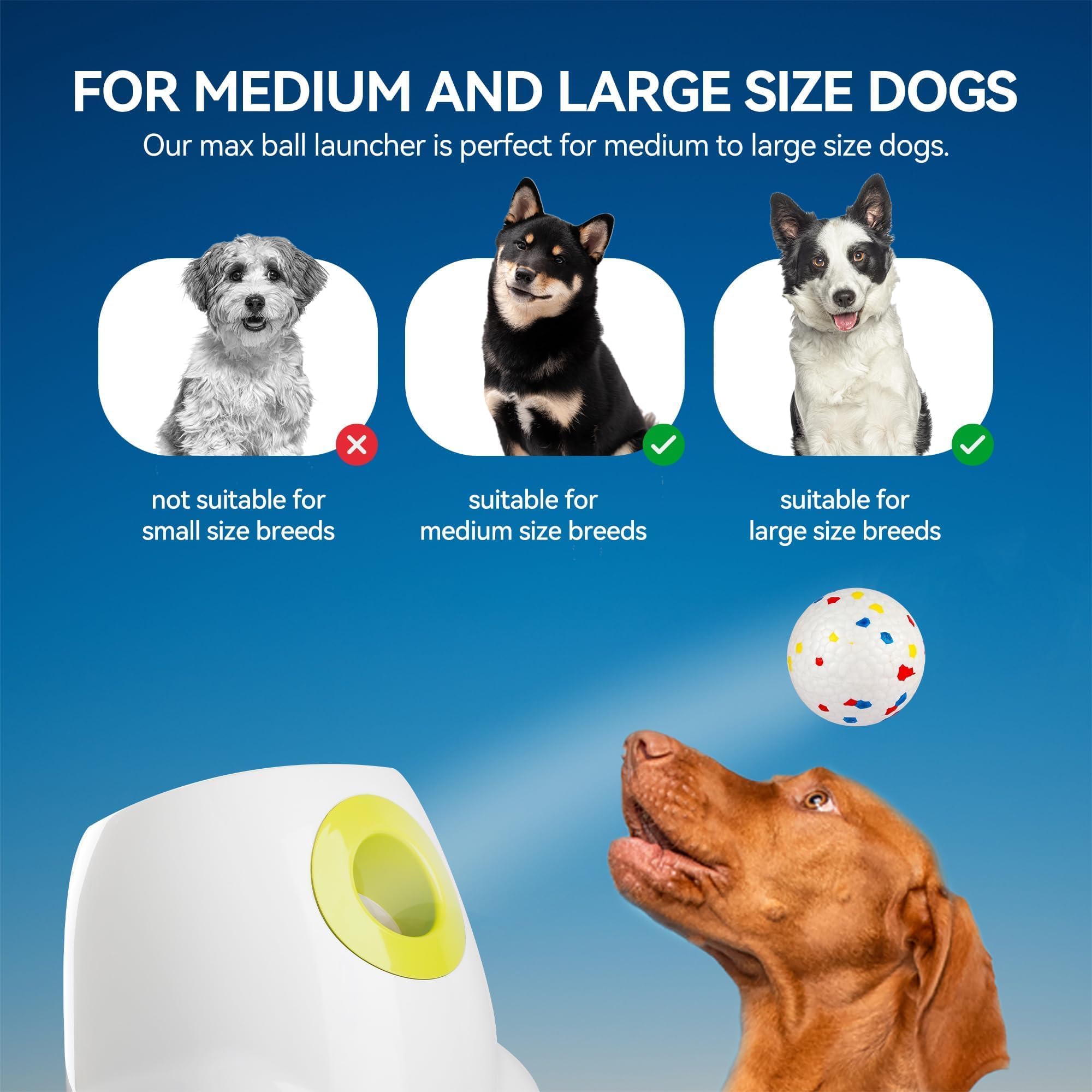 ALL FOR PAWS EPTU balls durable yet gentle on teeth and gums during play