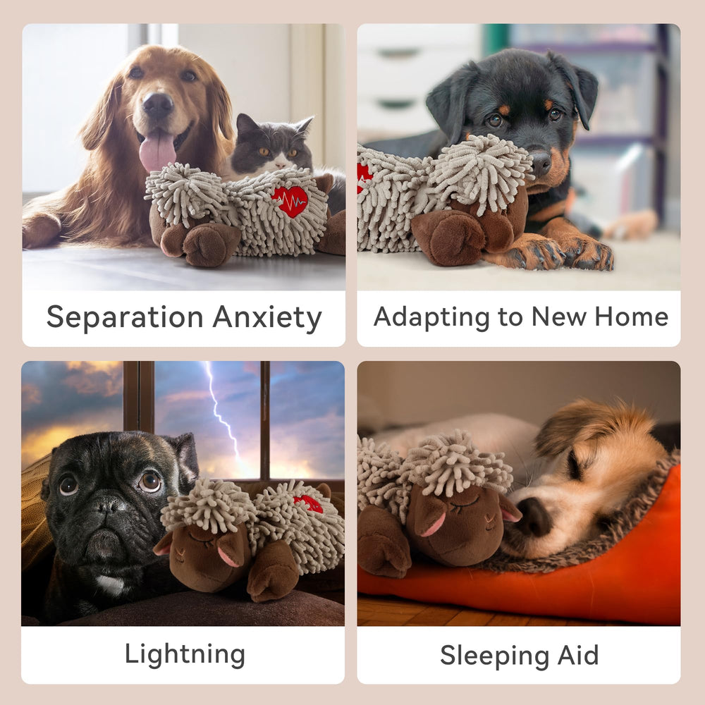 All For Paws Heartbeat Toy crate training focus scene highlights calm routine.