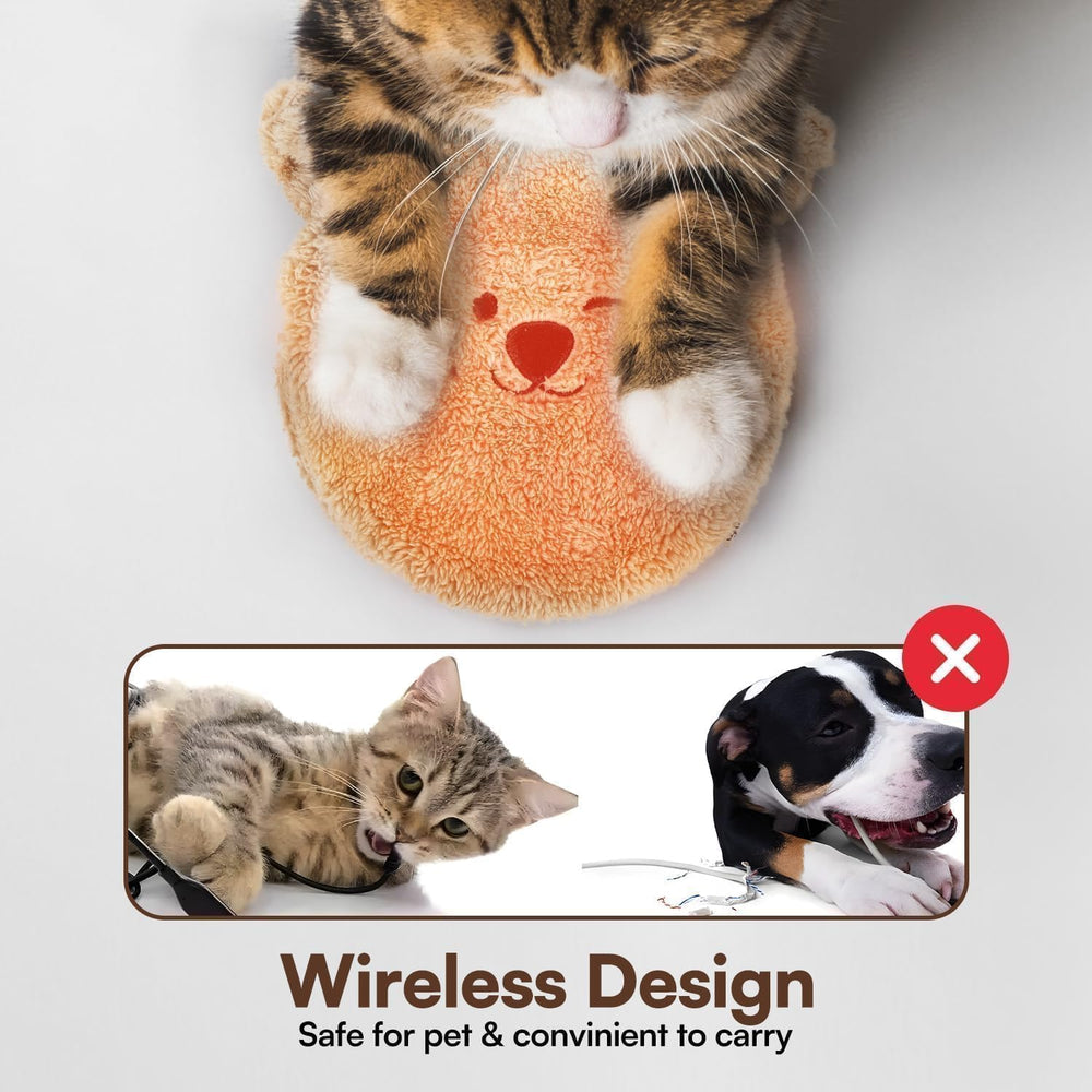 ALL FOR PAWS heat pad placed in a cat bed for cozy resting