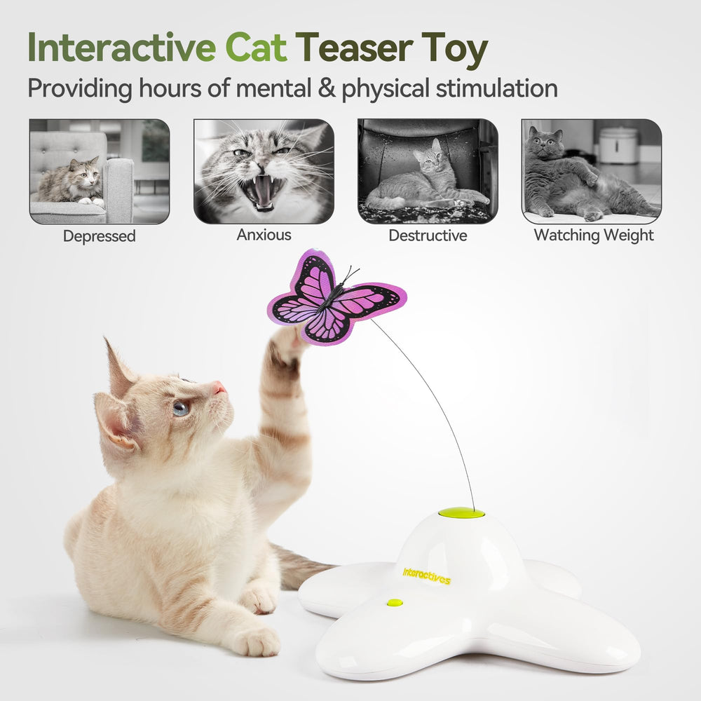 ALL FOR PAWS indoor cat play butterfly emphasizes active movement for exercise
