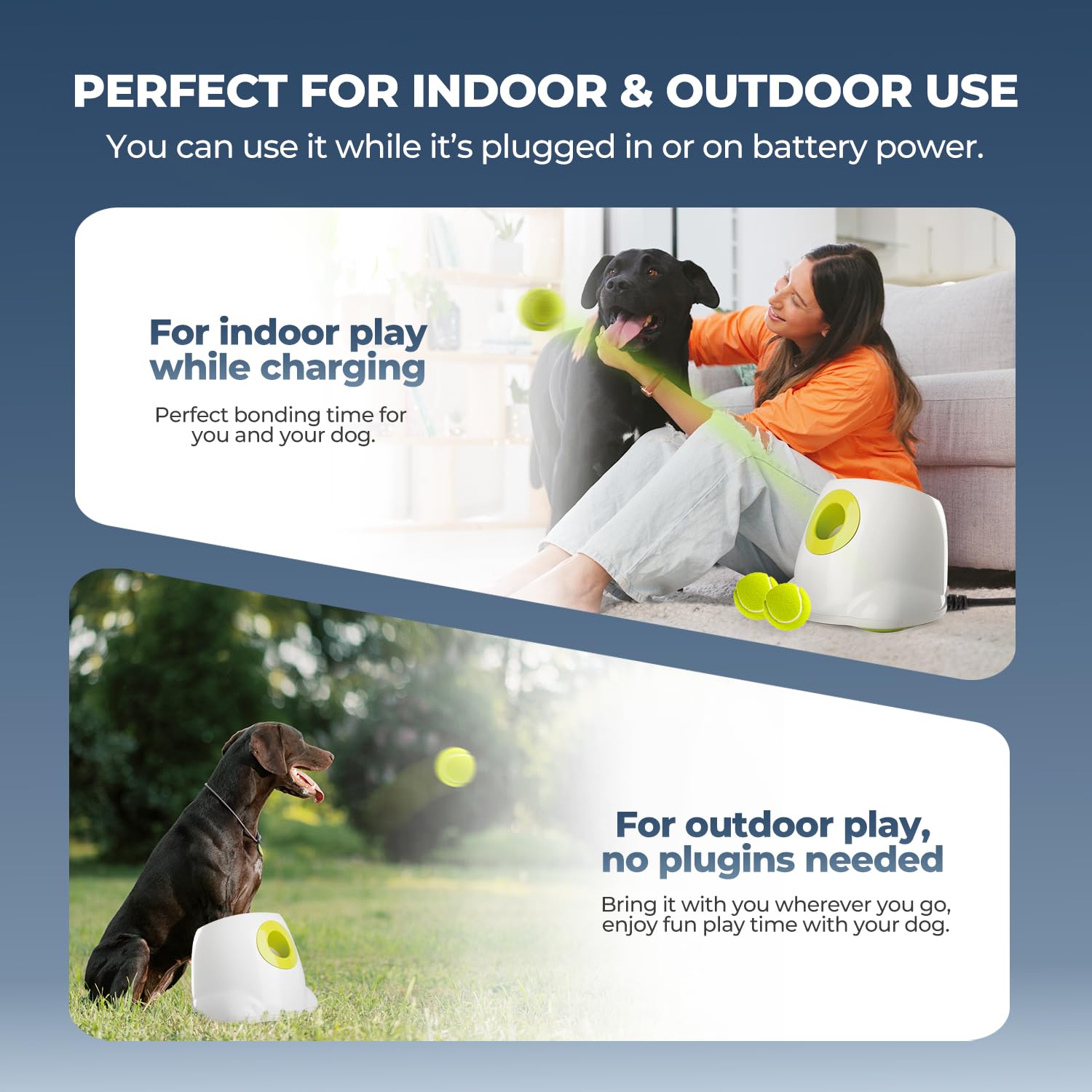 All For Paws launcher shown in indoor-outdoor setup for flexible play.