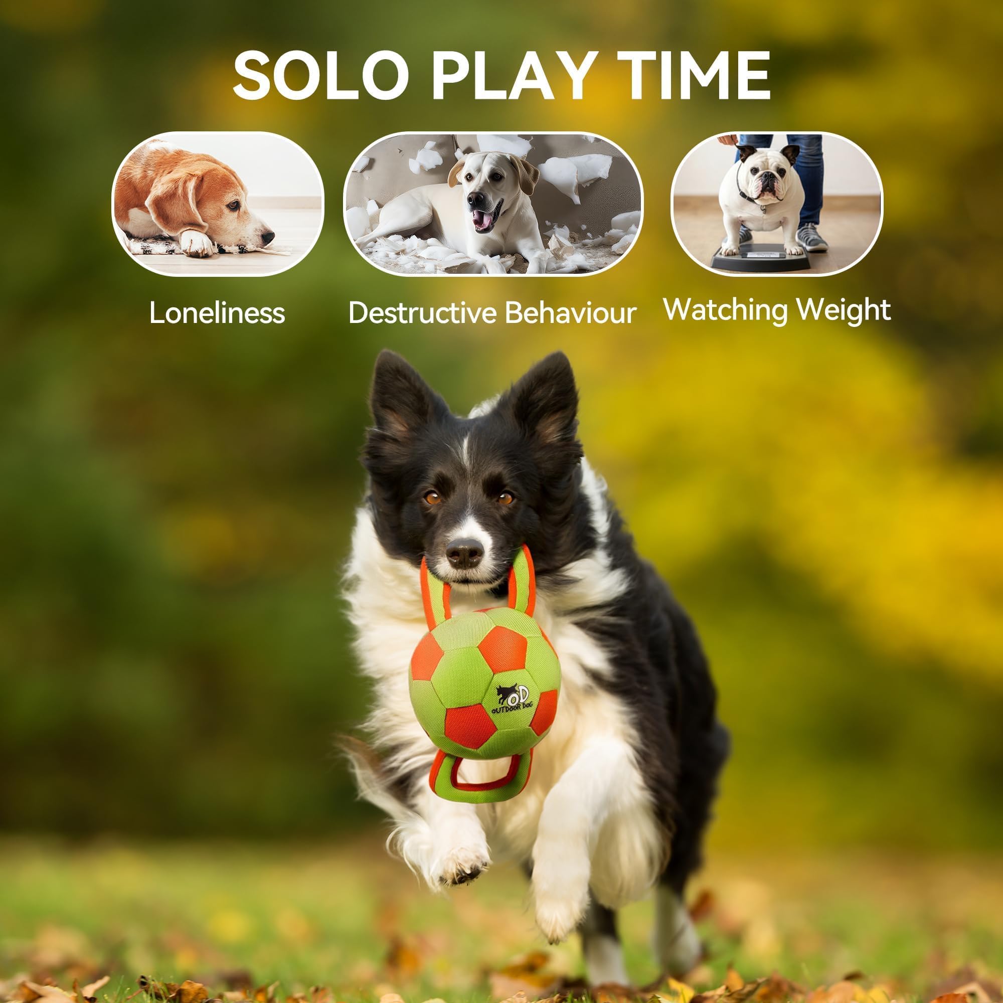 ALL FOR PAWS ball suitable for indoor and outdoor play for versatile fun.