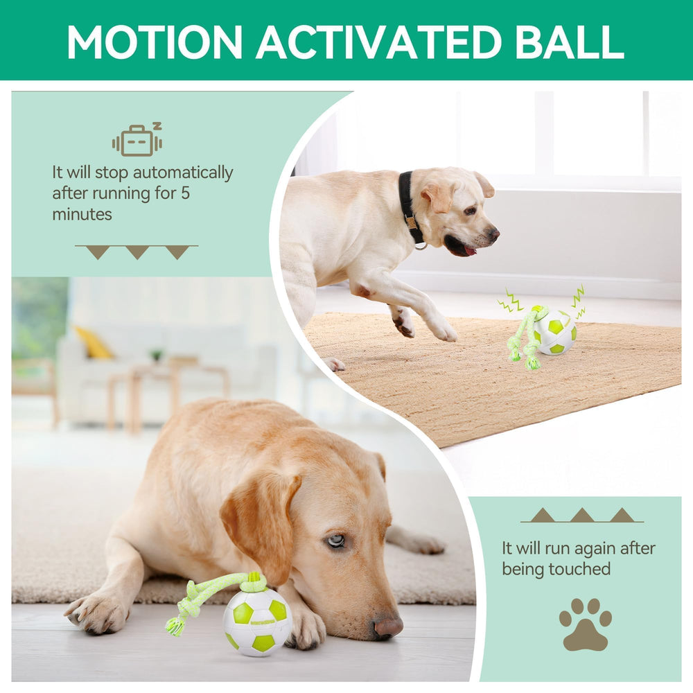 ALL FOR PAWS fast mode yellow light boosts high energy play