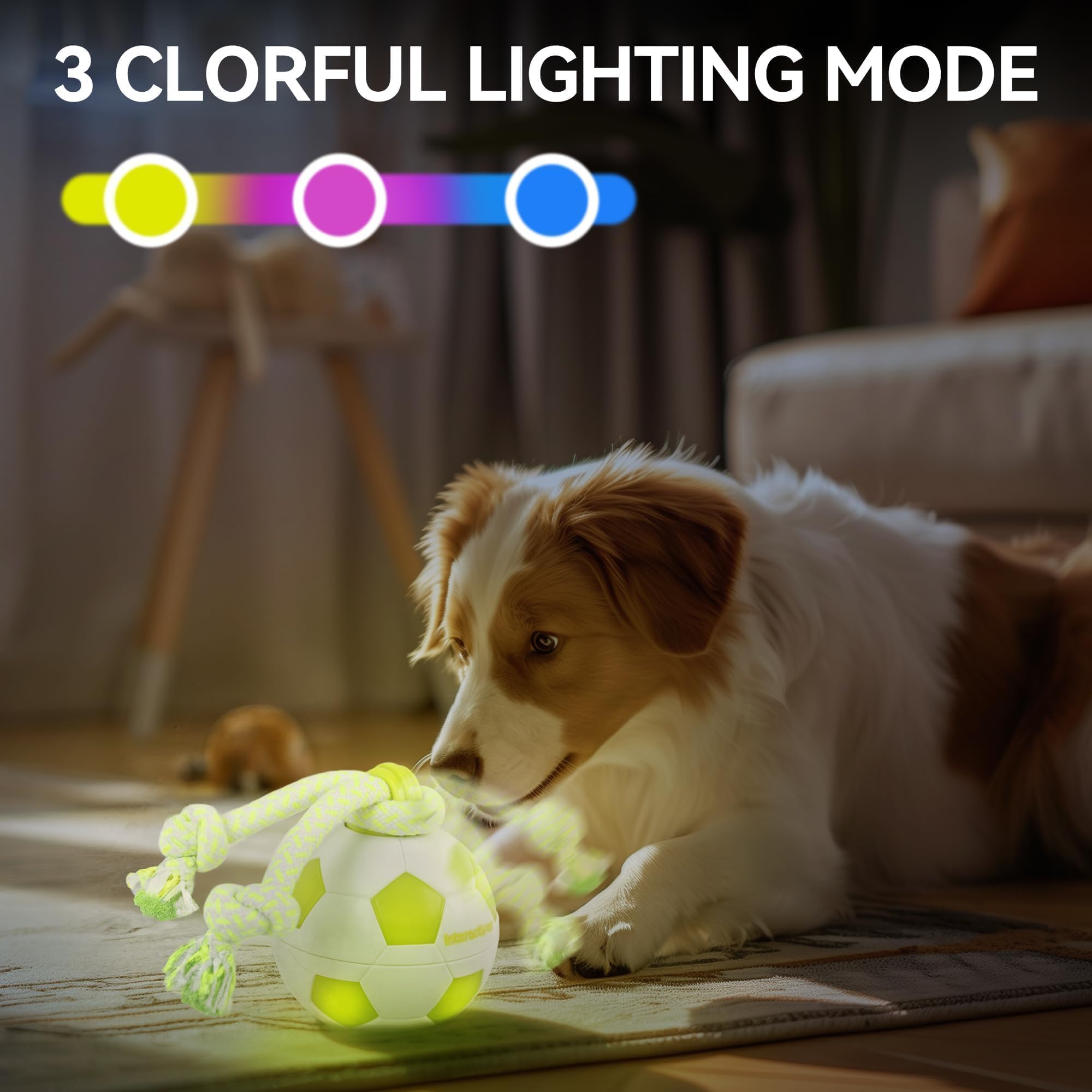 ALL FOR PAWS interactive mode blue light offers varied play challenges