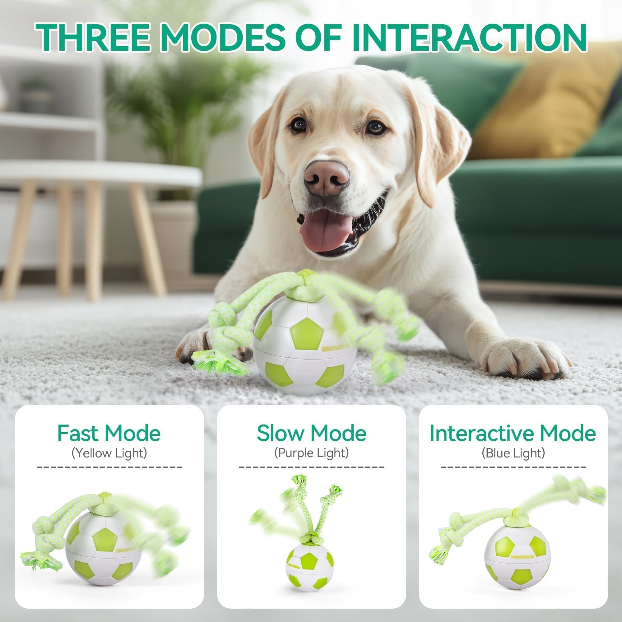ALL FOR PAWS interactive ball motion activated to keep dogs moving