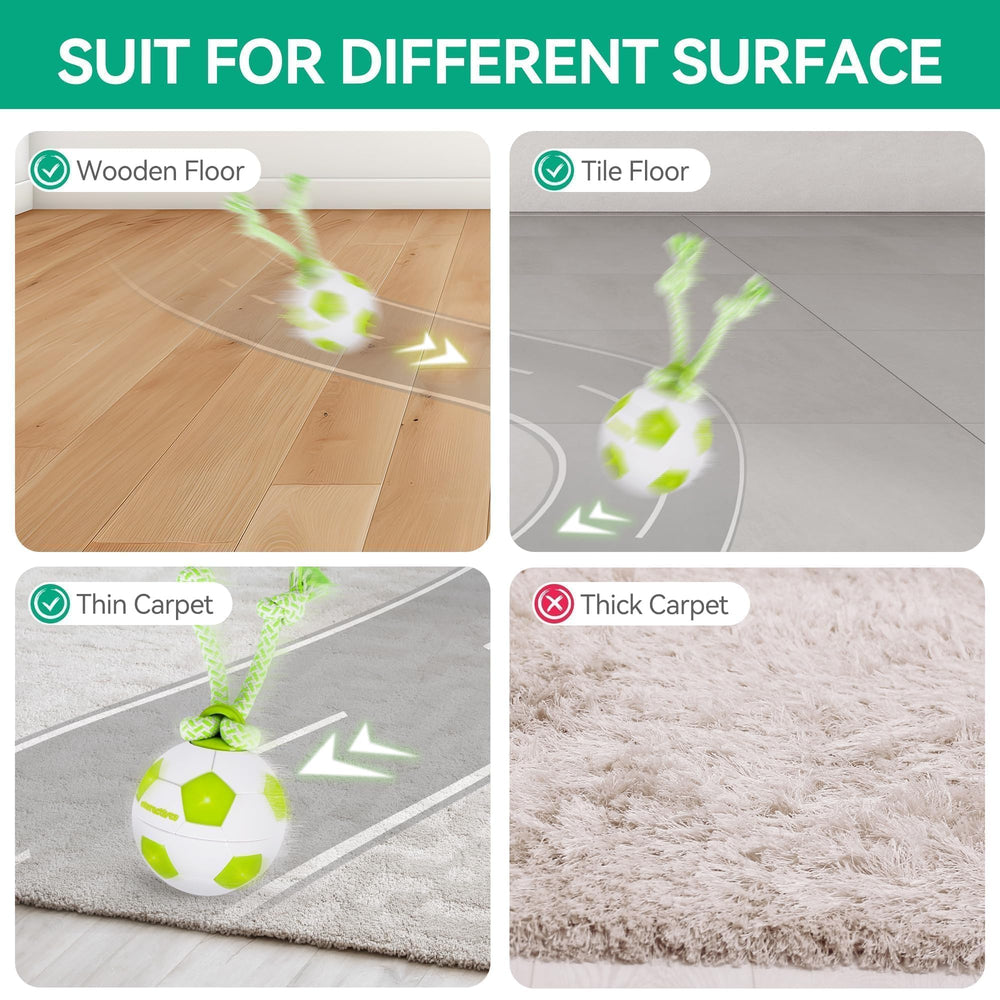 ALL FOR PAWS soccer shape ball attracts dogs to chase and retrieve