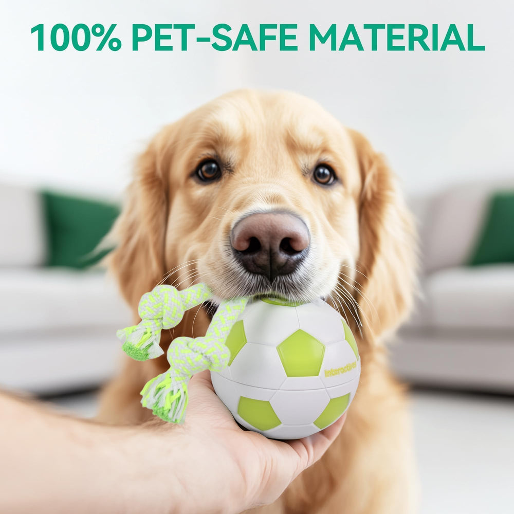 ALL FOR PAWS USB rechargeable ball for long indoor and outdoor sessions