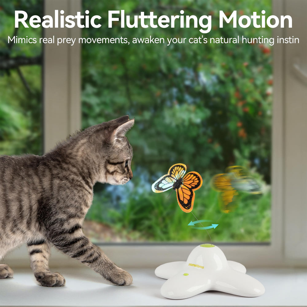 ALL FOR PAWS interactive cat toy bundle showcases versatility for indoor play and enrichment