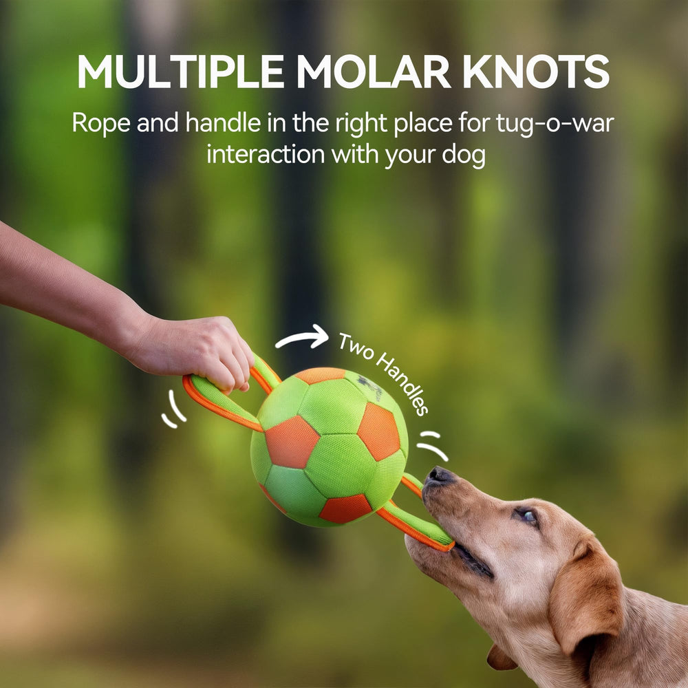 ALL FOR PAWS interactive tug-of-war ball encourages bonding and active games.