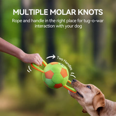 ALL FOR PAWS interactive tug-of-war ball encourages bonding and active games.