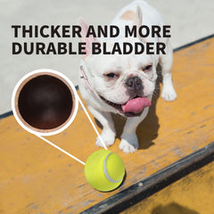 ALL FOR PAWS 2.5-inch ball suits large breeds with launcher