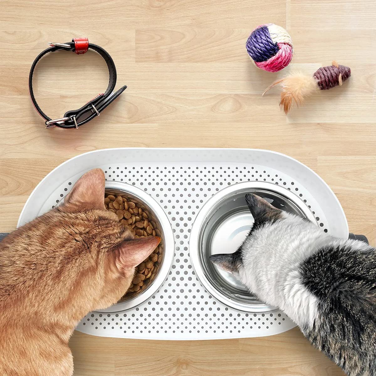 All for Paws multi-pet feeding area setup reduces mess on floors.