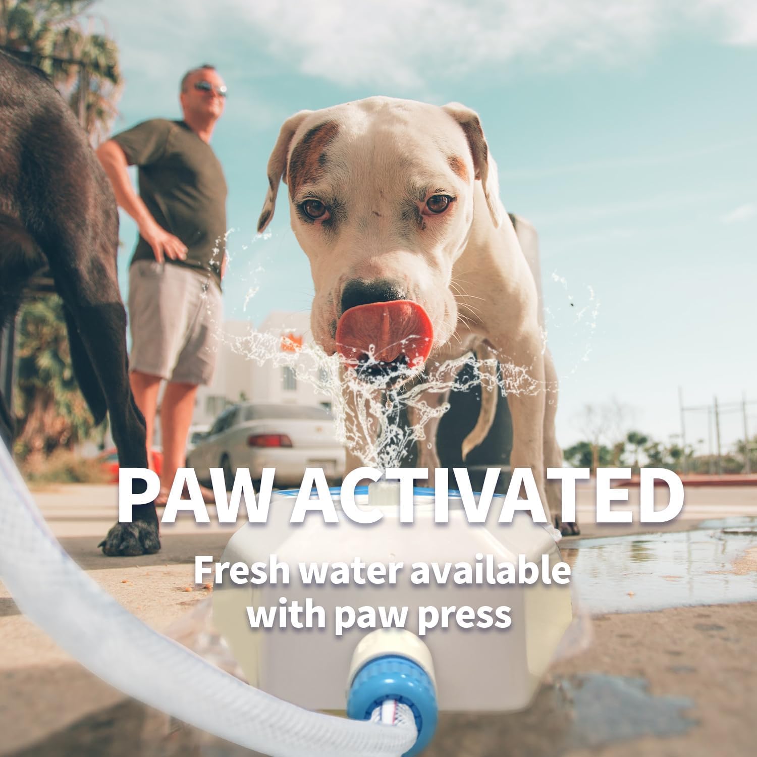 ALL FOR PAWS compact footprint fits in small yards and patios.