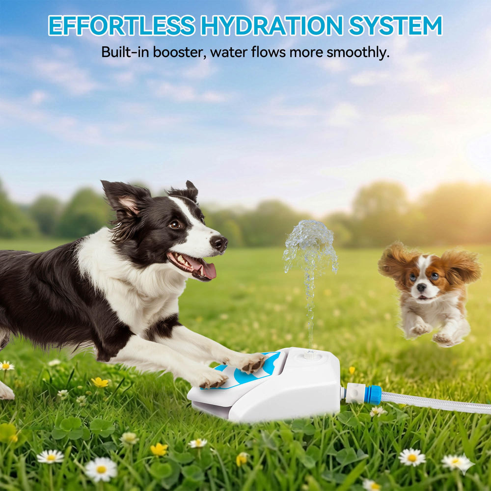 All For Paws outdoor dog drinking fountain in garden setup.