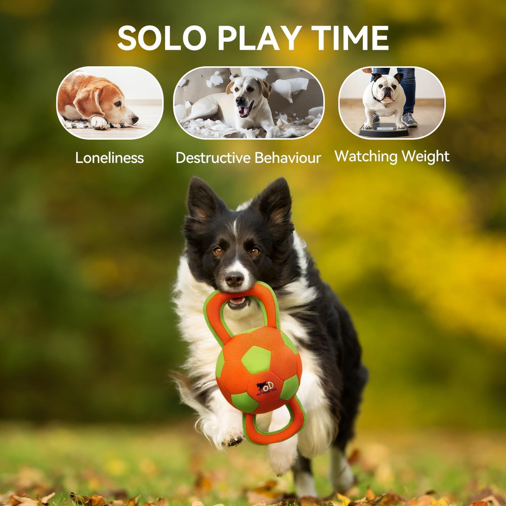 Outdoor fetch session with ALL FOR PAWS ball on grass.