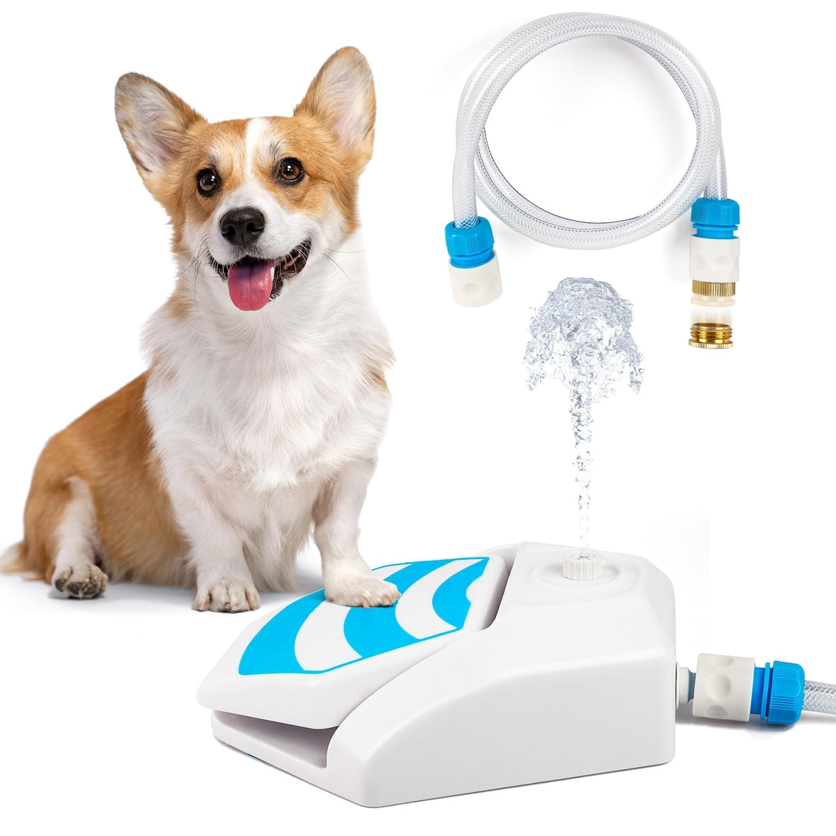 ALL FOR PAWS paw-activated fountain pedal in action for pet hydration.