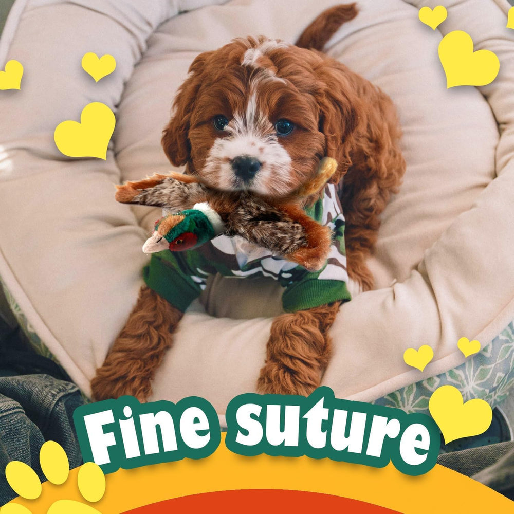 ALL FOR PAWS pheasant toy ideal for fetch and training sessions at home.