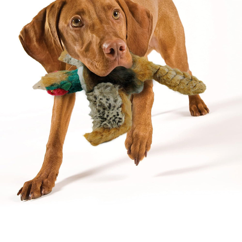 ALL FOR PAWS large pheasant plush’s travel-friendly design for car rides.