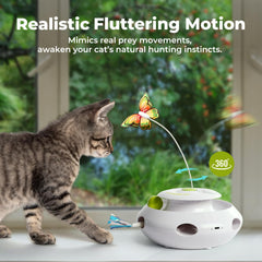 ALL FOR PAWS popping ribbon feature triggers surprise moments that boost curiosity.