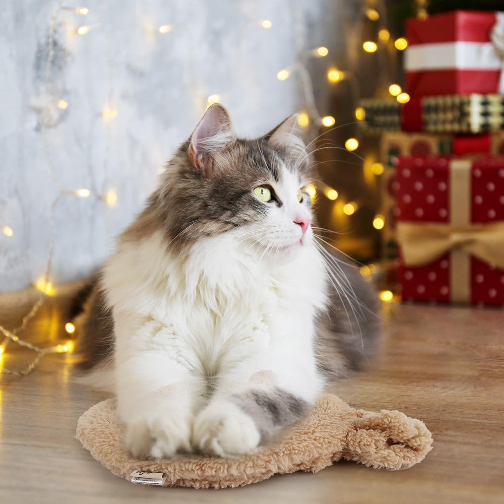 ALL FOR PAWS portable warmth from a lightweight heat pad
