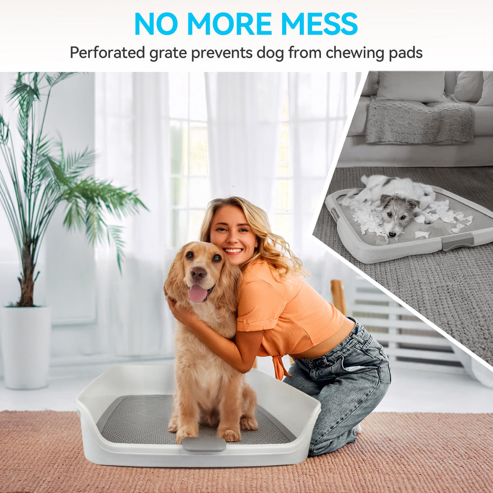 ALL FOR PAWS puppy training solution supports consistent potty habits.