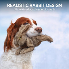 ALL FOR PAWS Rabbit Squeaky Doy Toy puppy play close-up fur texture