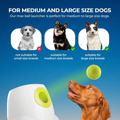 All For Paws rechargeable launcher battery indicator ready for extended play.
