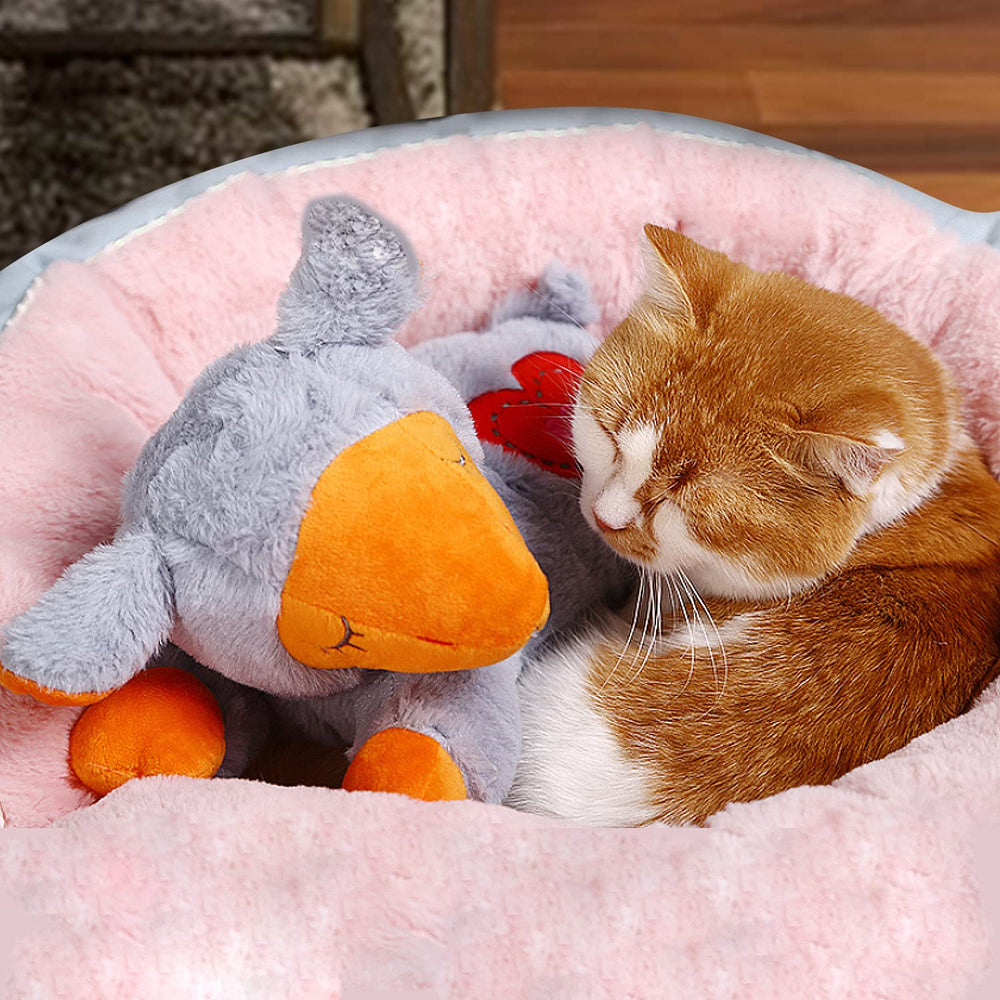 ALL FOR PAWS replacement heartbeat kit for plush toys to reintroduce calming rhythm