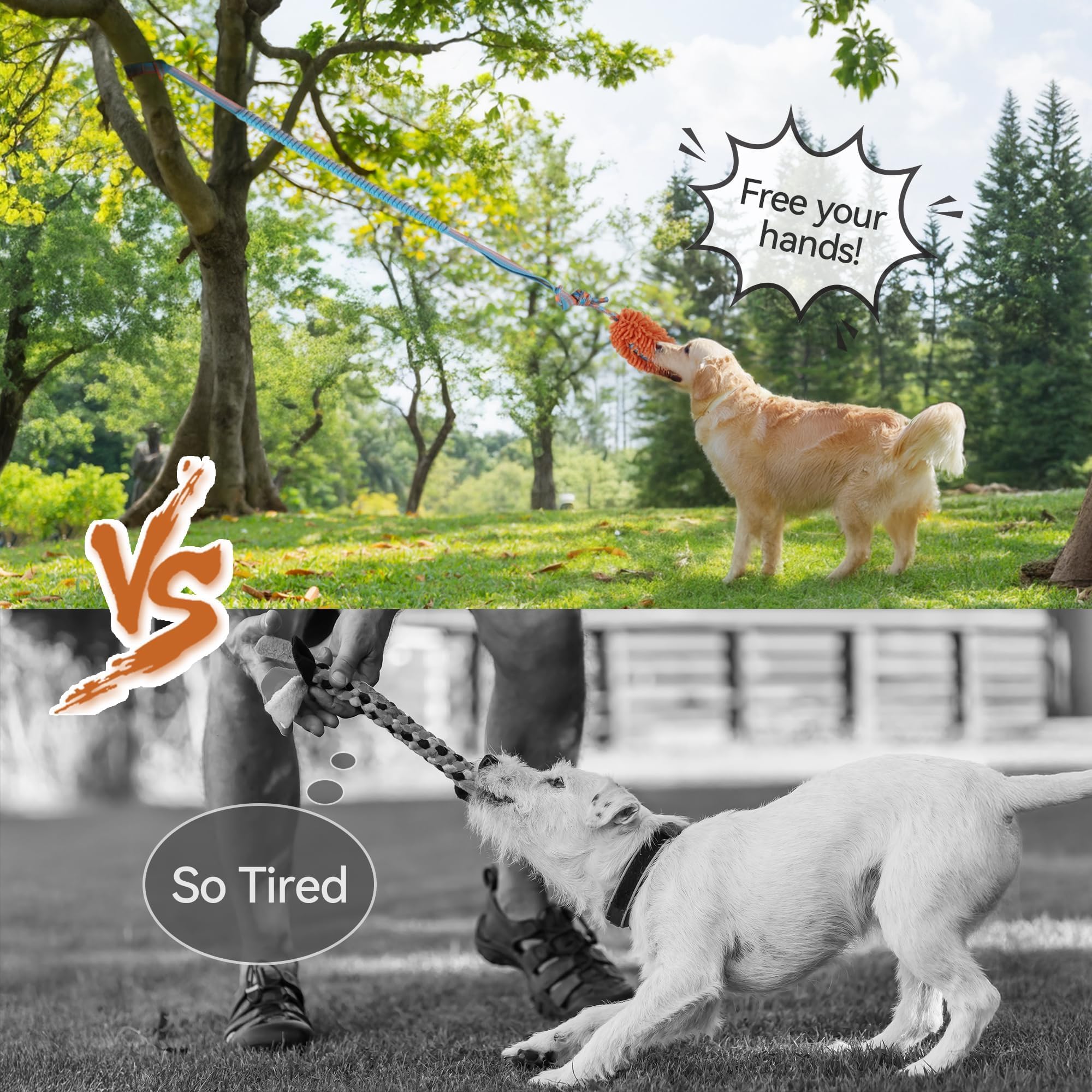 ALL FOR PAWS hygienic bungee rope design keeps the toy clean between uses.