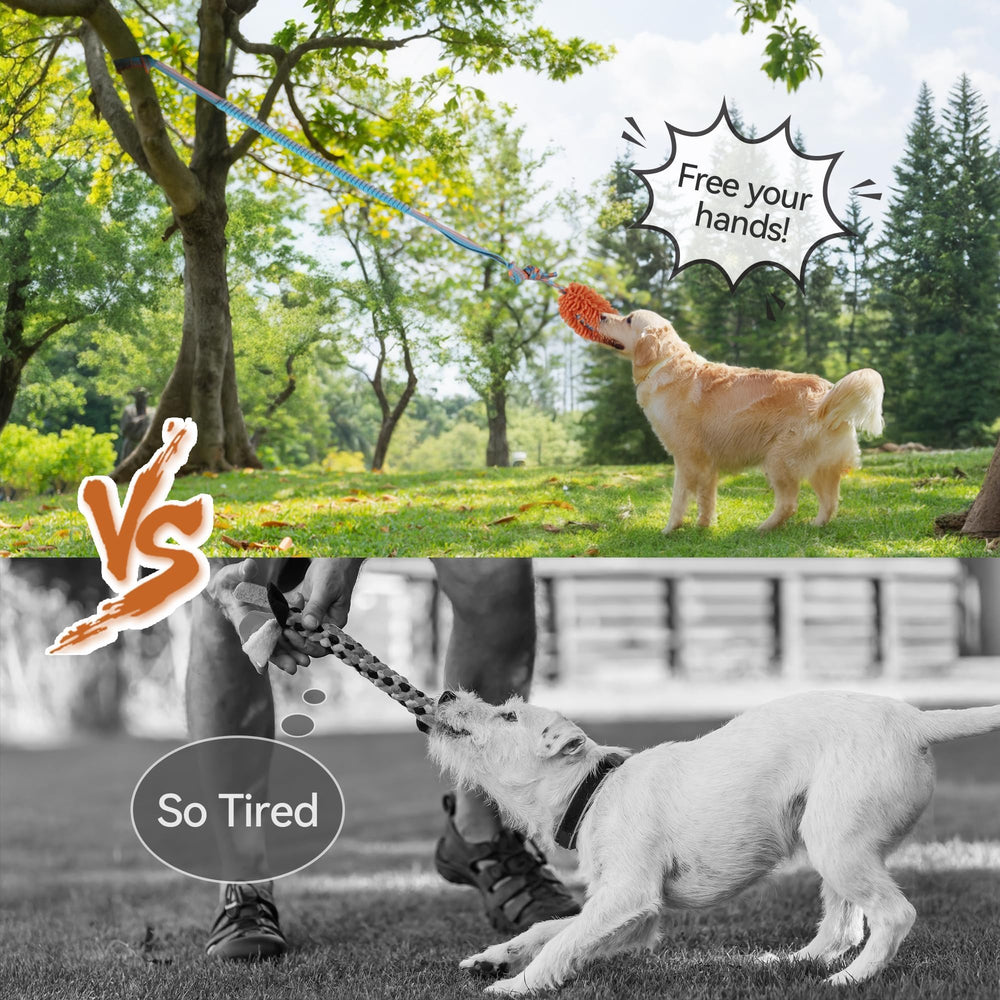 ALL FOR PAWS hygienic bungee rope design keeps the toy clean between uses.