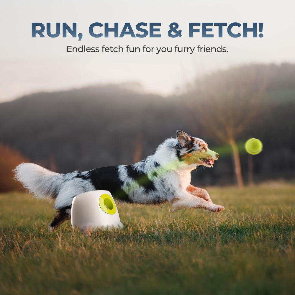 Quick setup and charging tips for All For Paws launcher.